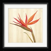 Tropical Garden IV Fine Art Print