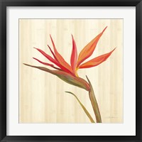 Tropical Garden IV Fine Art Print