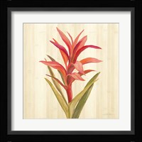Tropical Garden III Framed Print