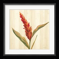 Tropical Garden II Framed Print