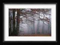 Autumn Paintings Fine Art Print