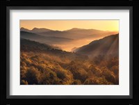 Going Back Fine Art Print