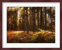 Painting of a Forest Fine Art Print