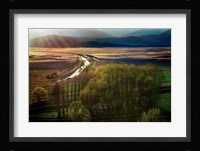 Poems in the Sun Fine Art Print