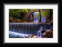 Spring Feast Fine Art Print