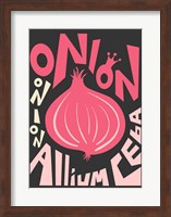 Kitchen Onion Fine Art Print