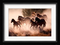 Horses Fine Art Print