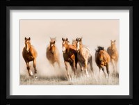 Outlaws Fine Art Print