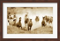 San Cristobol Horses Fine Art Print