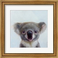 Lil Koala Fine Art Print