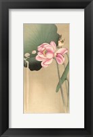 Songbird and Lotus, 1900-1936 Fine Art Print