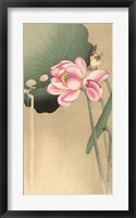 Songbird and Lotus, 1900-1936 Fine Art Print