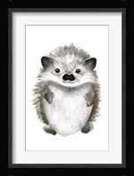 Little Hedgehog Framed Print