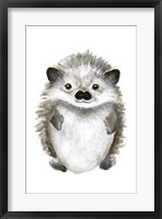 Little Hedgehog Framed Print
