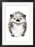 Little Hedgehog Framed Print