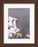 Swan Gold 1 Fine Art Print