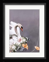 Swan Gold 1 Fine Art Print