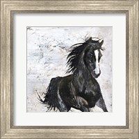 Wild Horse 1 Fine Art Print