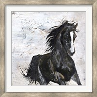 Wild Horse 1 Fine Art Print