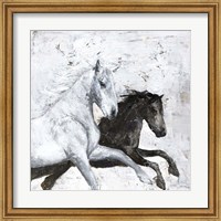 Wild Horse 2 Fine Art Print