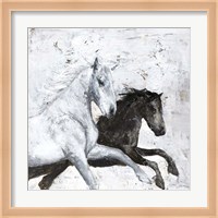 Wild Horse 2 Fine Art Print