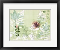 A Myriad Celebration of Plants Fine Art Print