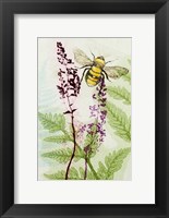 Bees Amongst the Liriope Fine Art Print