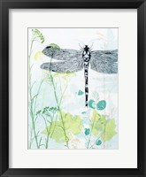 Dragonfly And The Healing Plant Fine Art Print