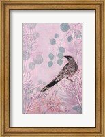 Dusk Wattlebird in Pink Fine Art Print