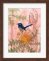 Little Blue Wren Fine Art Print