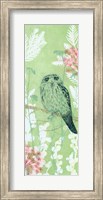 The Tranquil Tawny Frog Mouth Fine Art Print