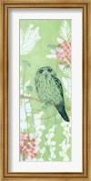 The Tranquil Tawny Frog Mouth Fine Art Print