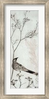 Wattlebird Resting on a Branch Fine Art Print