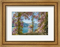 Wisteria and Mountains - Lago di Como Fine Art Print