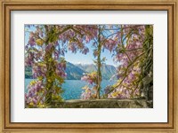 Wisteria and Mountains - Lago di Como Fine Art Print