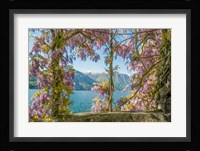Wisteria and Mountains - Lago di Como Fine Art Print