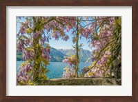 Wisteria and Mountains - Lago di Como Fine Art Print