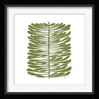 Hawaiian Pine Fine Art Print