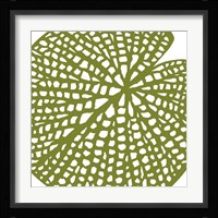Lilypad Fine Art Print