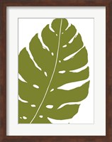 Monstera Fine Art Print