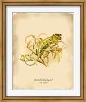 Chameleopard Fine Art Print