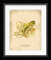 Chameleopard Fine Art Print