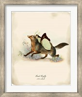 Foxfly Fine Art Print