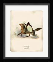Foxfly Fine Art Print