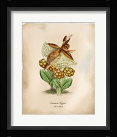 Hoppers Fine Art Print