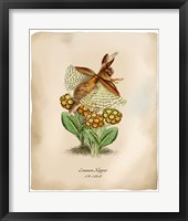 Hoppers Fine Art Print