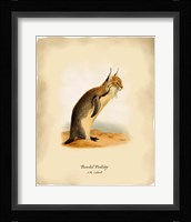 Pen-Kitty Fine Art Print