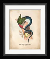 Slithertweet Fine Art Print