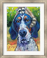 Coonhound Fine Art Print