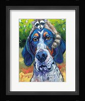 Coonhound Fine Art Print